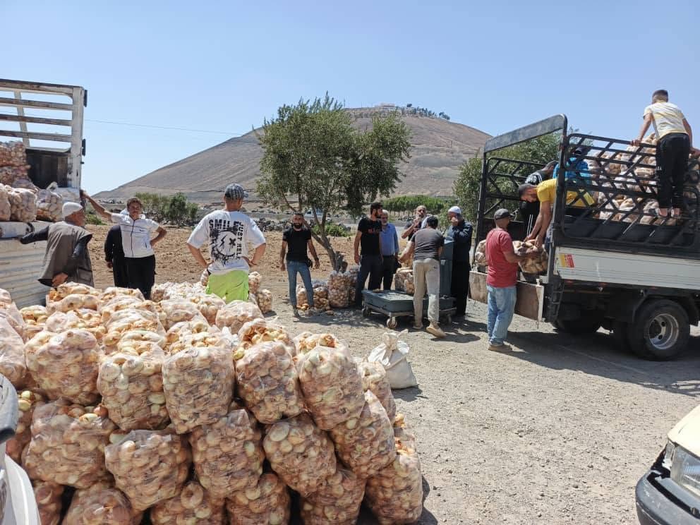 Volunteers loading sacks of onions onto trucks for distribution to communities