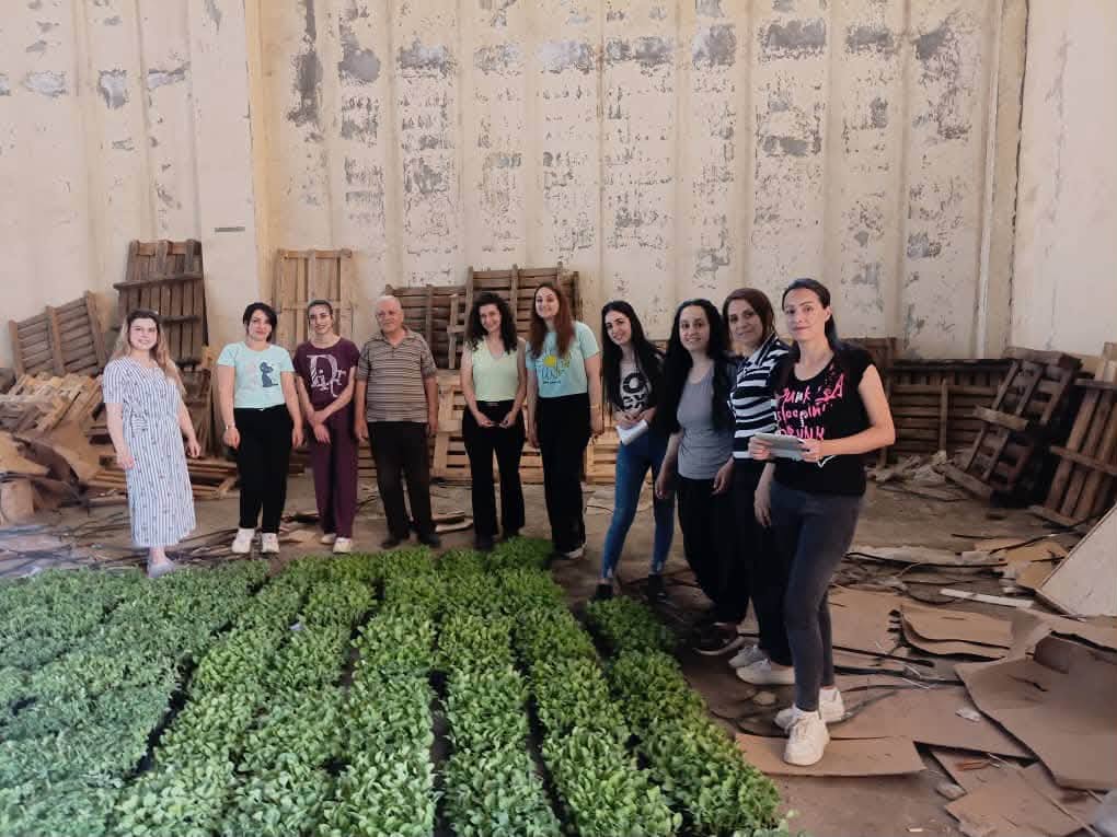 An agricultural team standing behind trays of seedlings prepared for planting